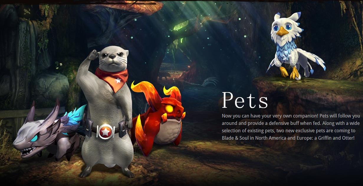 blade and soul pets system.jpg