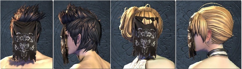 blade and soul spirit veil.jpg