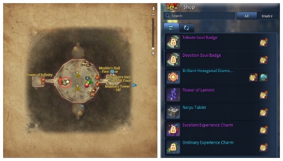 blade and soul mushin hall.jpg
